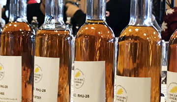 Echantillon de Rhums dans des bouteilles semblable pour les jurys du concours générale agricole 2019