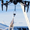 Livraison de rosé par drone
