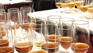 Verre de dégustations de Bières pour les jurys du concours générale agricole 2019