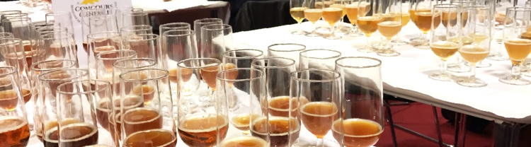 Verre de dégustations de Bières pour les jurys du concours générale agricole 2019