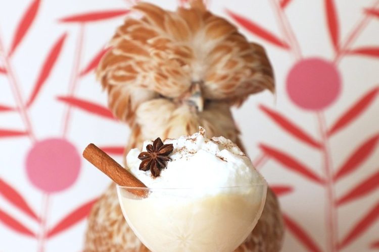 Boozy Brown Sugar Nog épicé