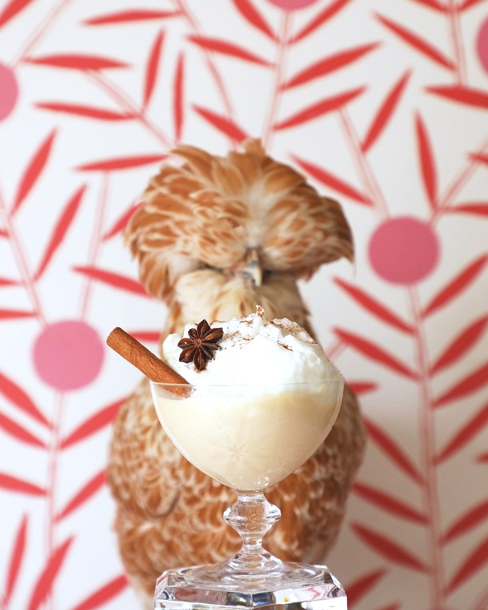 Boozy Brown Sugar Nog épicé