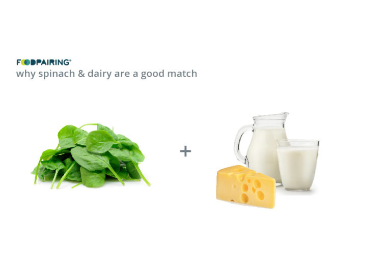 Pourquoi les produits laitiers se marient bien avec les épinards