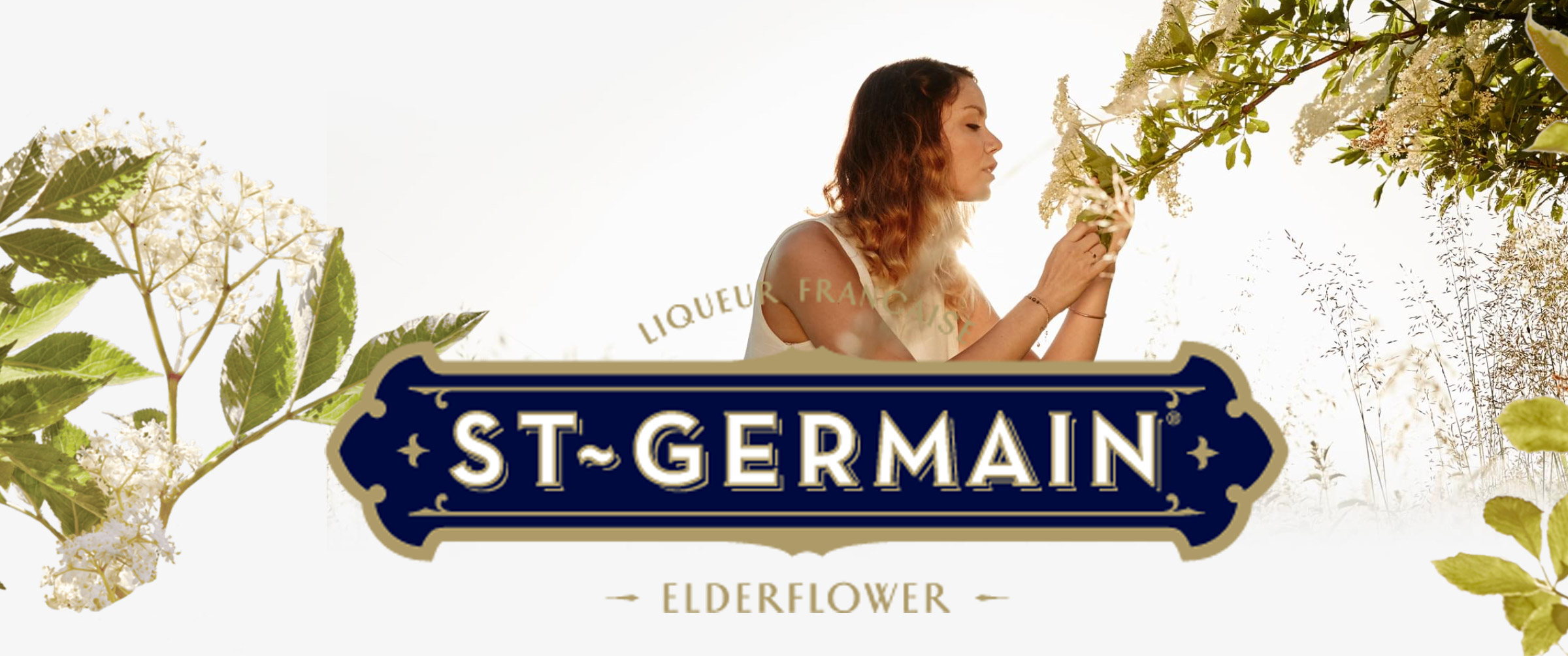 Liqueur st-germain
