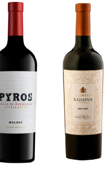 Bilan : Vins du Salentein et Pyros, Sorties 2022