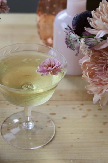 Chrysanthemum cocktail