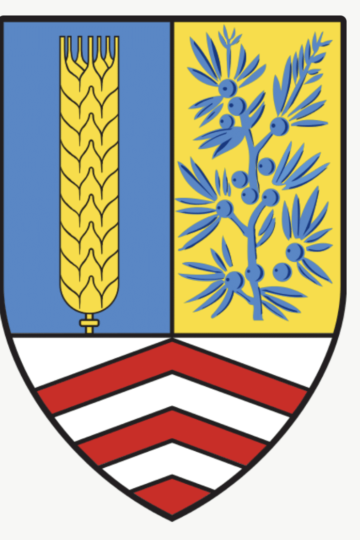 Types de Gin : Steinhäger