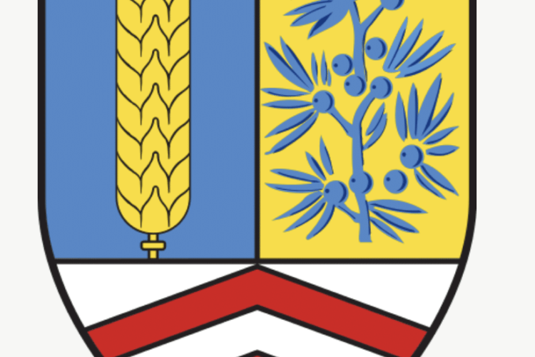 Types de Gin : Steinhäger