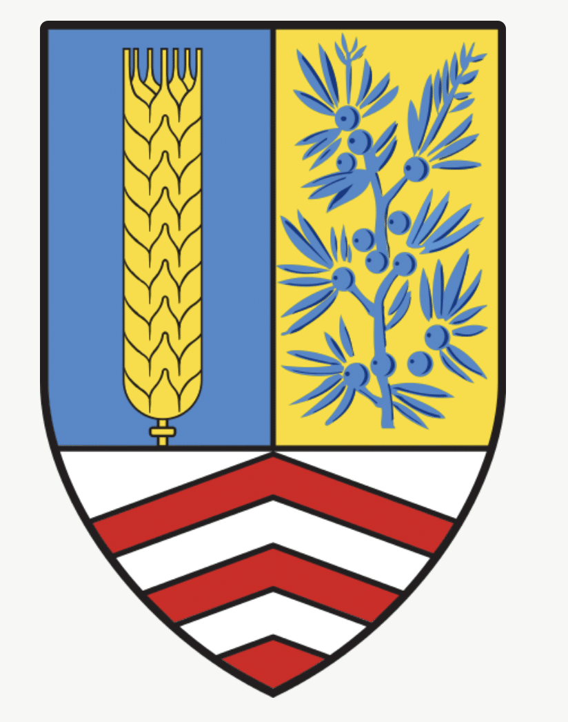 Types de Gin : Steinhäger