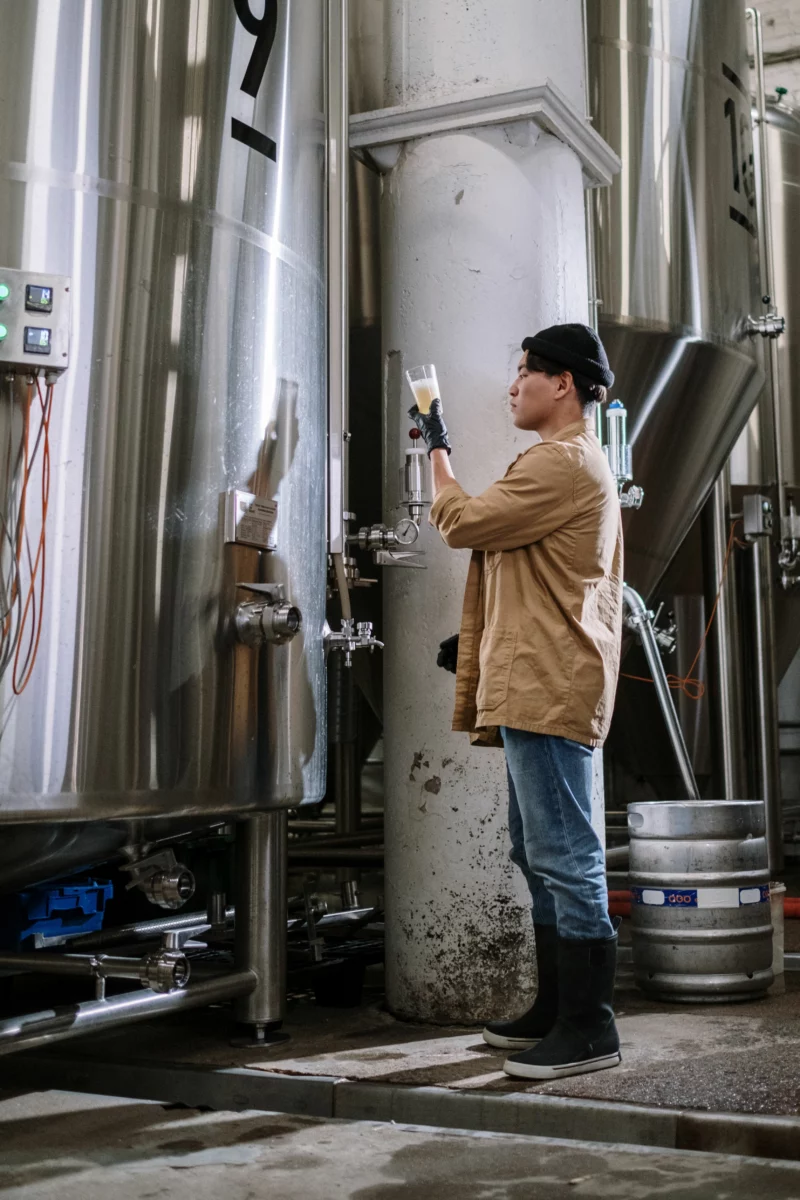 Cuves de brasserie artisanale, en écho à la bière au cannabis