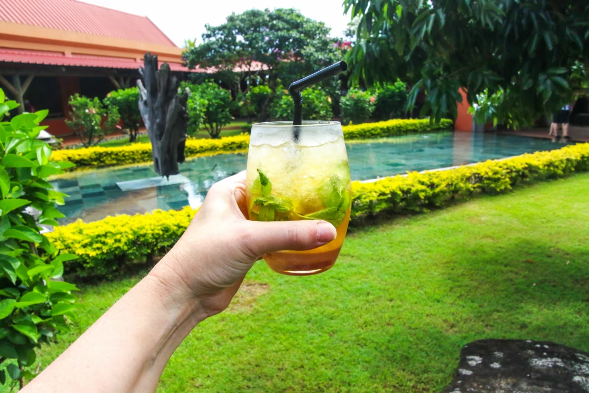 Cocktail gin fizz servi dans un jardin, verre glacé avec paille