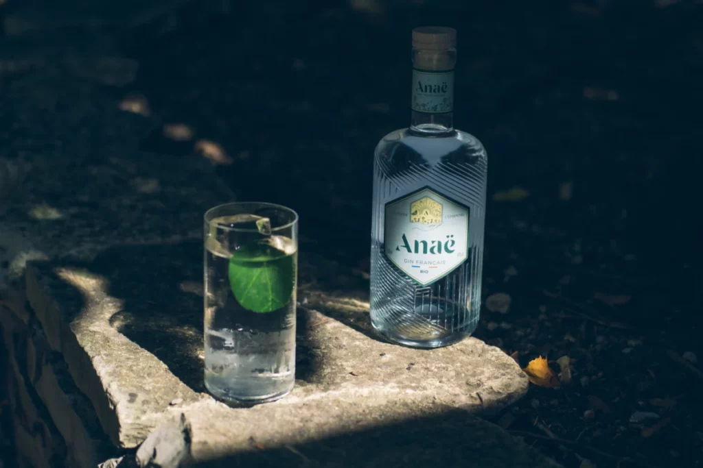 Bouteille de gin et verre avec glaçons et citron vert au soleil, dans l'esprit du gin Engine