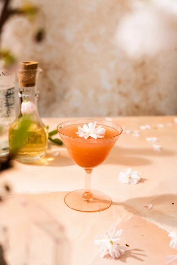 Cocktail fleur de cerisier servi dans une coupe et garni d'une fleur comestible