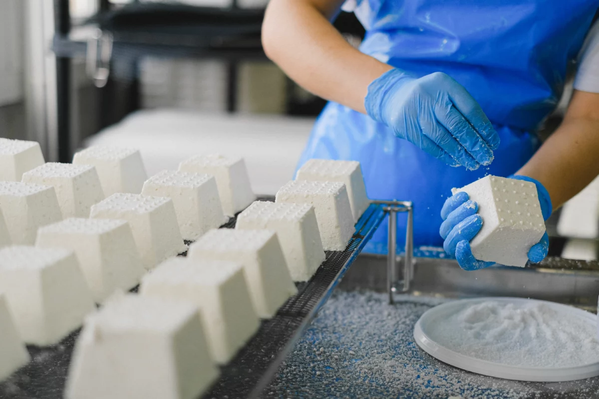 Fromages et produits laitiers en cours de fabrication artisanale