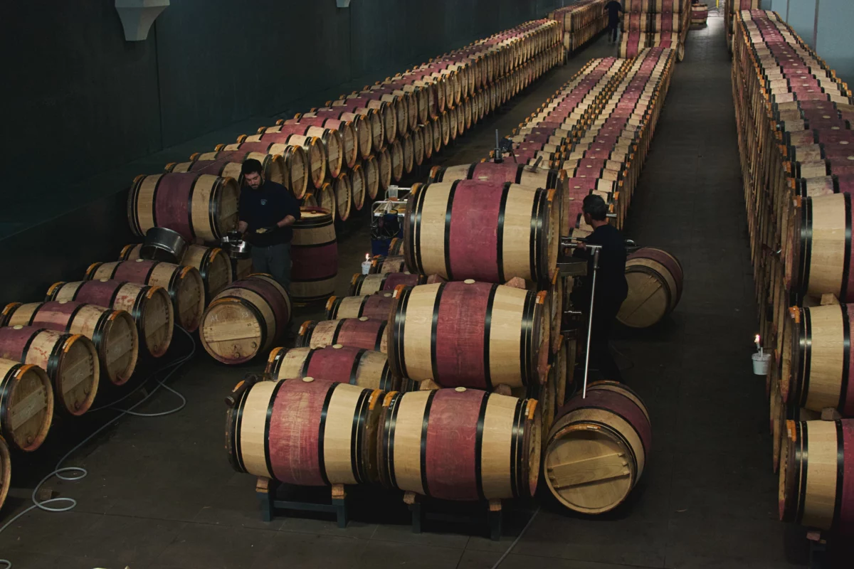 Fûts de chêne alignés dans un chai, où s'élèvent les vins multi-millésimes en solera