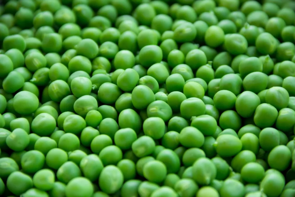 Petits pois frais et leurs cosses, base de l'apéritif aux petits pois de Jörö