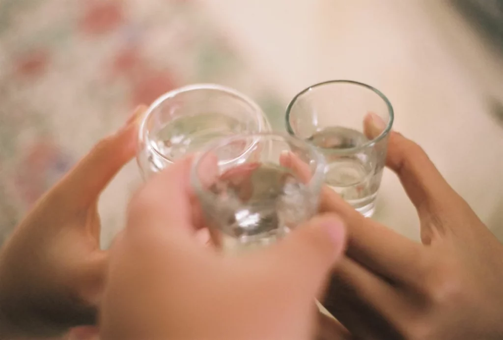 Deux verres de vodka tenus à la main, illustrant les grandes marques de vodka