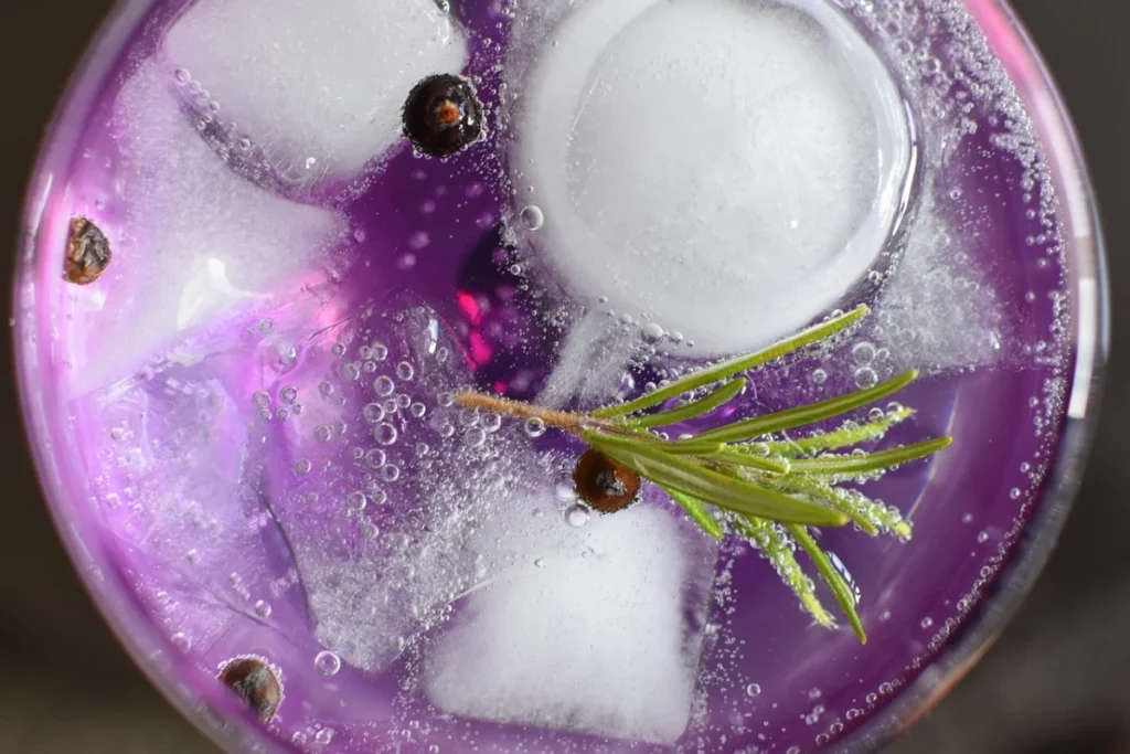 Cocktail gin tonic servi dans un verre avec glaçons