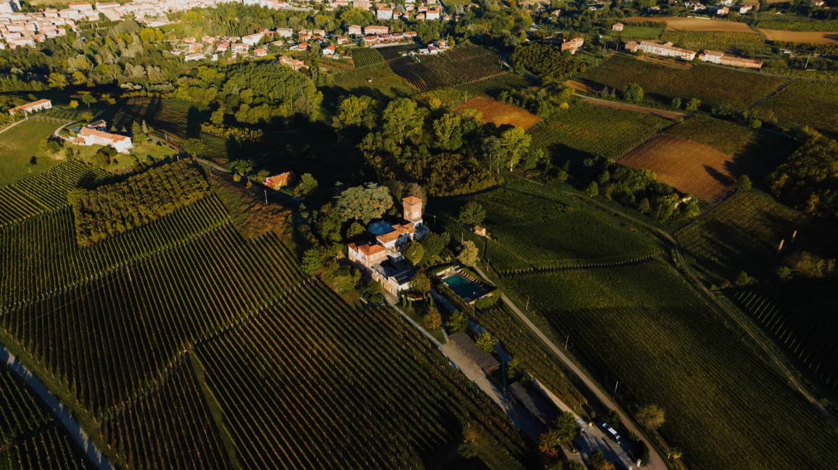 Incendies dans le vignoble : le Sud de la France sous tension