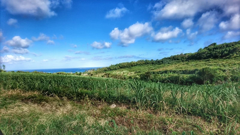 Paysage de la distillerie Rivière Antoine à Grenade, îles aux épices des Caraïbes