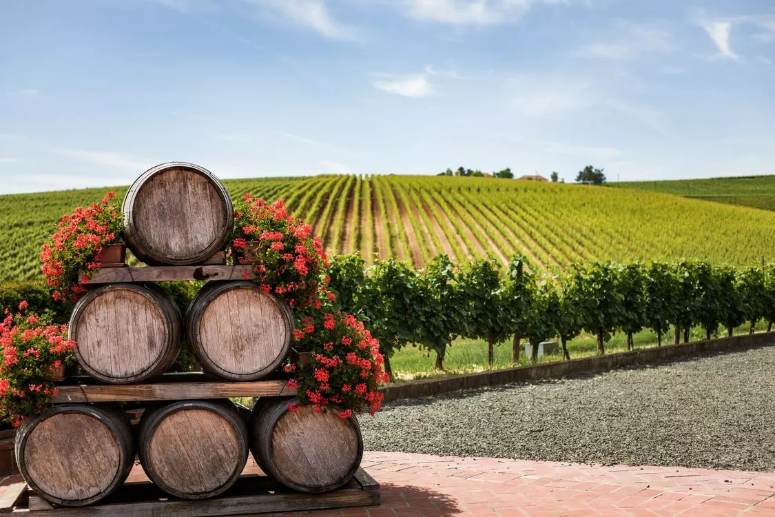 Vendanges 2026 : 33,8 Mhl, la recolte la plus faible depuis 1957