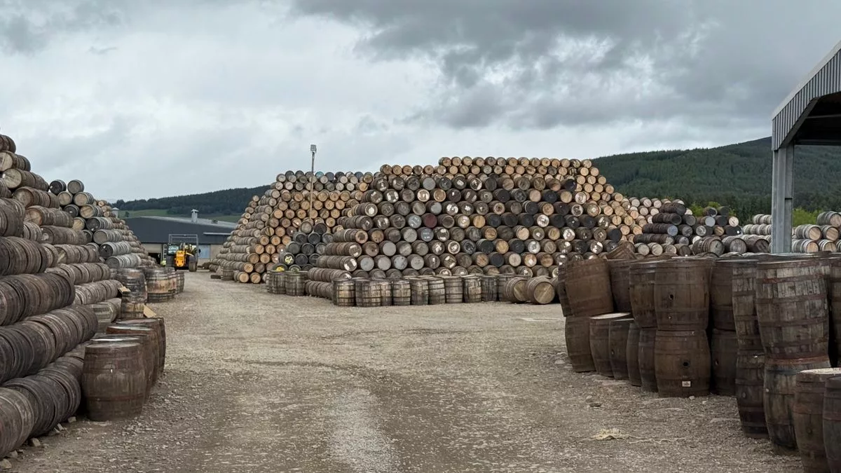 Midleton Very Rare Irish Chestnut 2026 : un whisky élevé en fûts de châtaignier