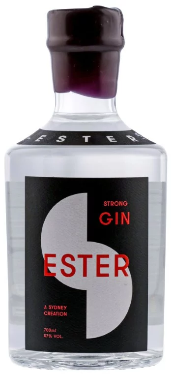 Le meilleur gin marin du monde